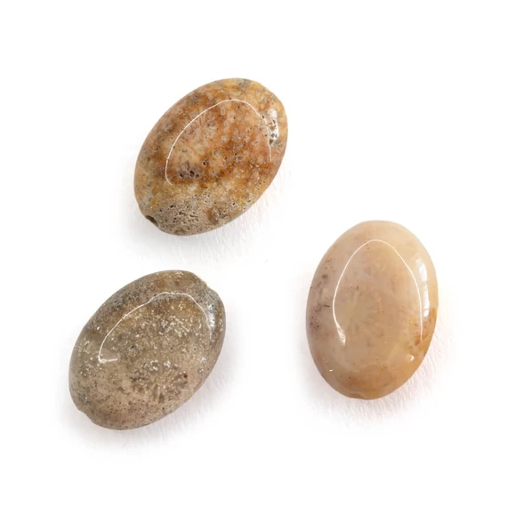 Fosszilis korall ovál gyöngy, 10x14 mm