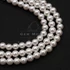 Kép 1/3 - Shell pearl 