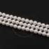 Kép 2/2 - Shell pearl (fehér) golyós szál, 6 mm, kb. 39 cm