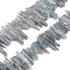 Kép 2/2 - Kianit (disthen) csúcs szál, 20x4 mm, kb. 9 cm (kb. 17-18 db/szál)